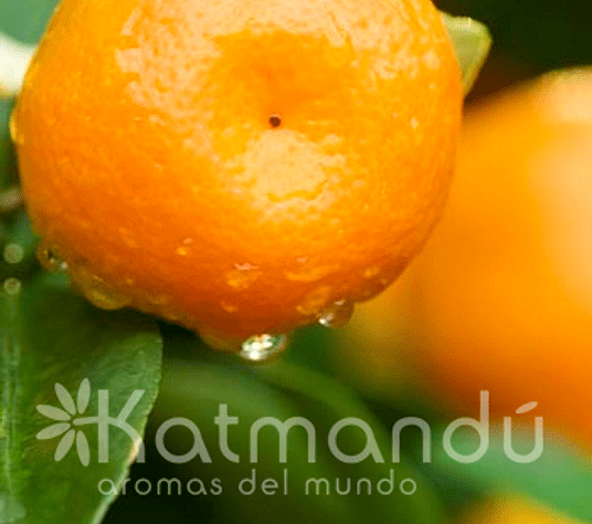 Aceite esencial de Mandarina 5ml Katmandú